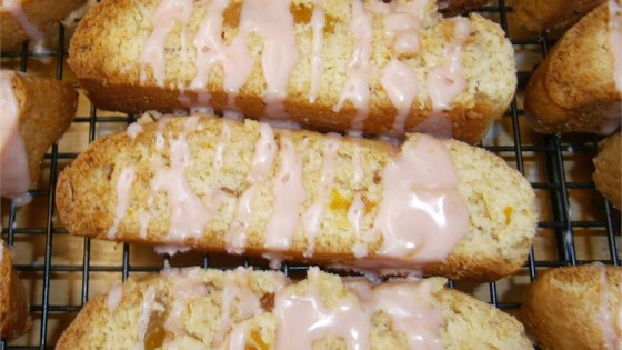 Orange Cranberry Biscotti