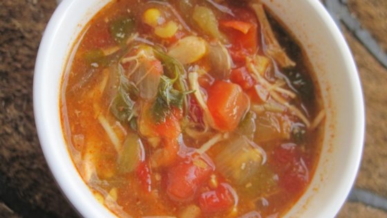 Chicken Enchilada Slow Cooker Soup 