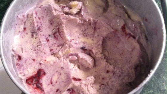 Vanilla Ice Cream IV
