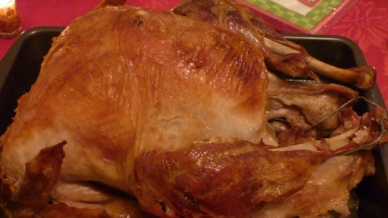 Turkey in a Bag