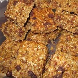 Bird Seed Energy Bars