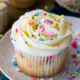 Cupcake Recipes